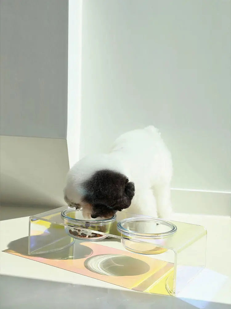 Acrylic Pet Dazzling Bowl Food Basin Small Dog KuroshiroOnline