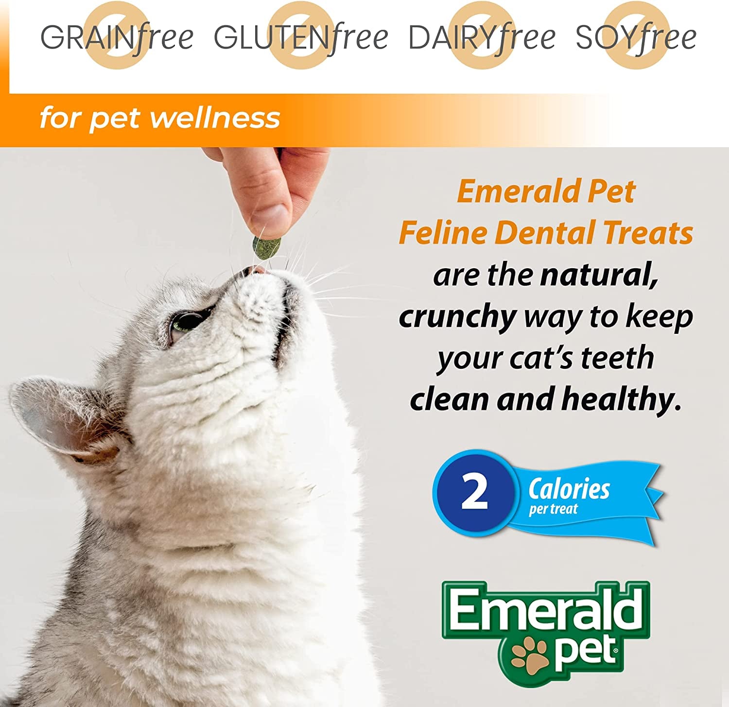 Feline Dental Treats — Tasty and Crunchy Cat Dental Treats Grain Free — Natural Dental Treats to Clean Cat Teeth, Freshen Cat Breath, and Reduce Plaque and Tartar Buildup — Salmon Treats, 11 Oz