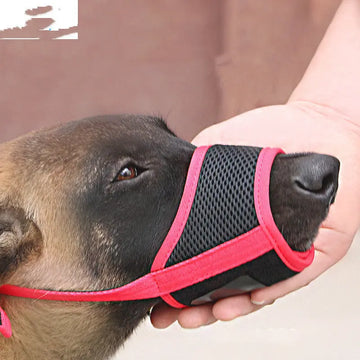 Mouth Cover To Prevent Eating Indiscriminately Large Labrador Dog KuroshiroOnline