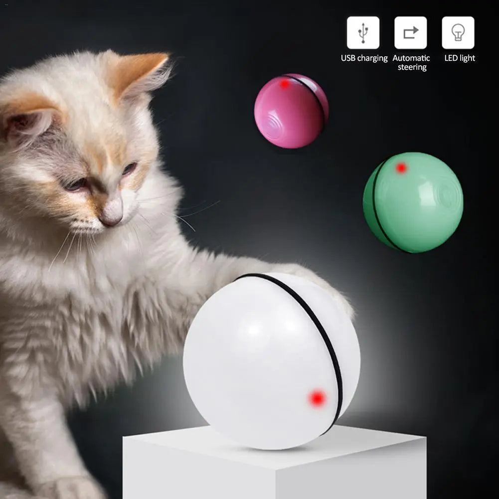 LED Laser Cat Toy KuroshiroOnline