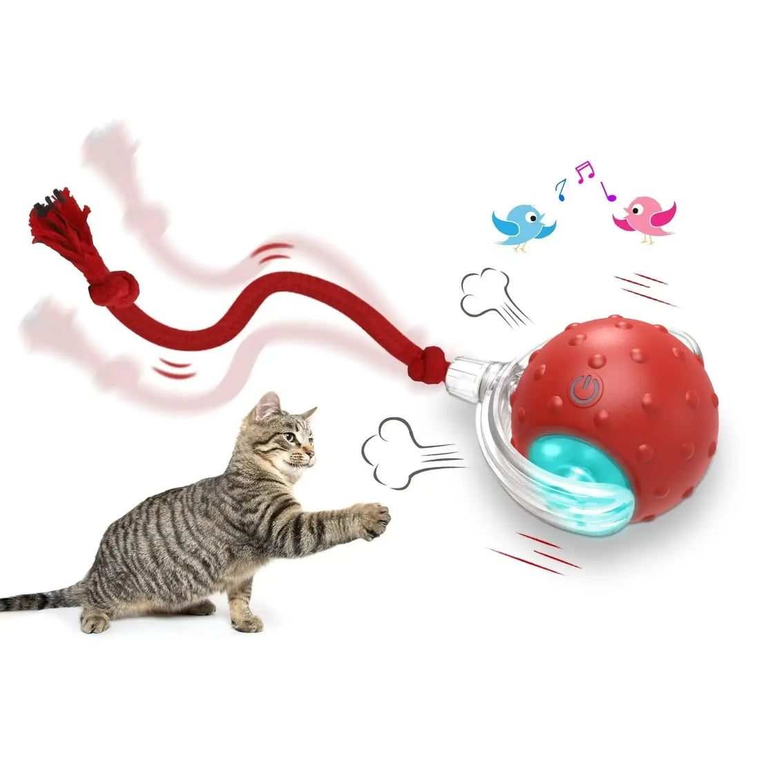 Interactive Cat Toy Ball Super Drive Cat Rolling Ball KuroshiroOnline
