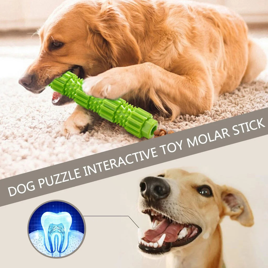 Dog Chew Toys for Aggressive Chewers